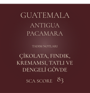ORIJIN - GUATEMALA Antigua Pacamara