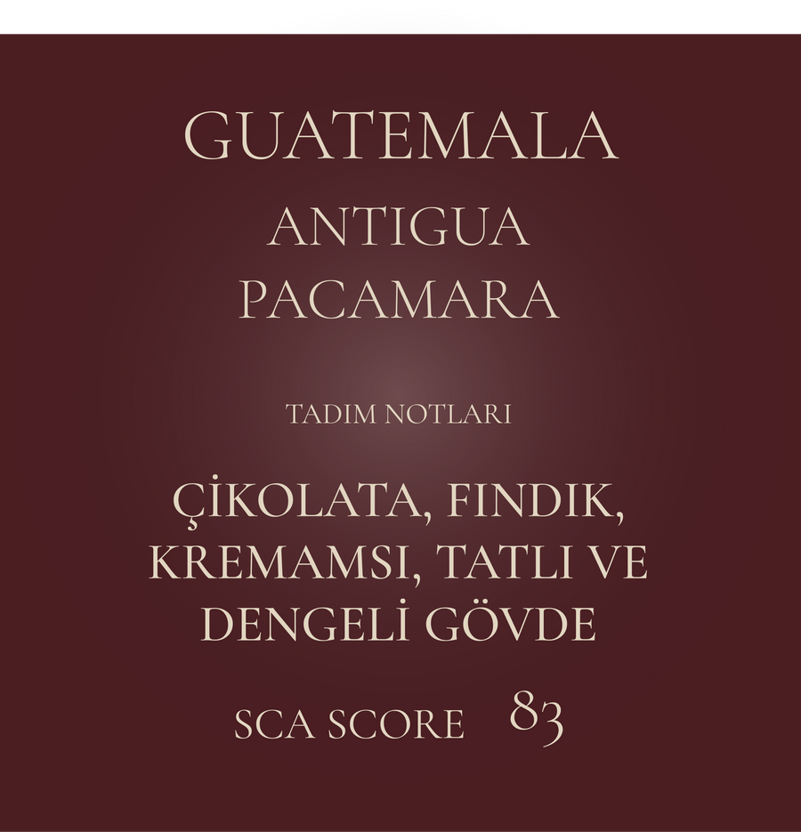 ORIJIN - GUATEMALA Antigua Pacamara