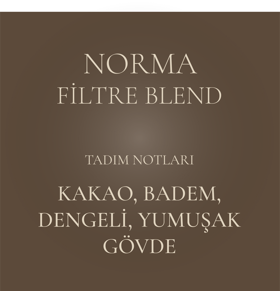 CLASSIC - NORMA - Filtre Blend